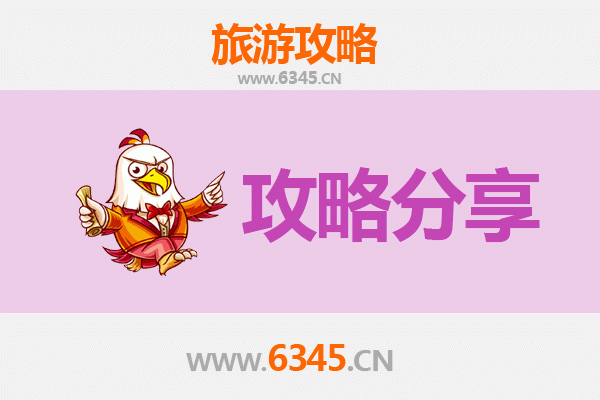 漯河临颍至湄洲岛旅游攻略：跟团还是自由行深度解析